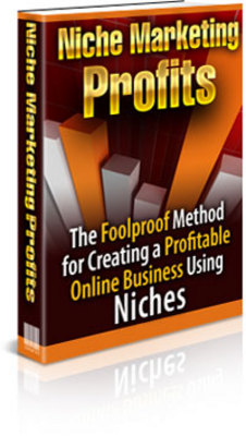 Product picture Profits through Niche Marketing