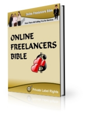 Product picture The Freelancers Bible